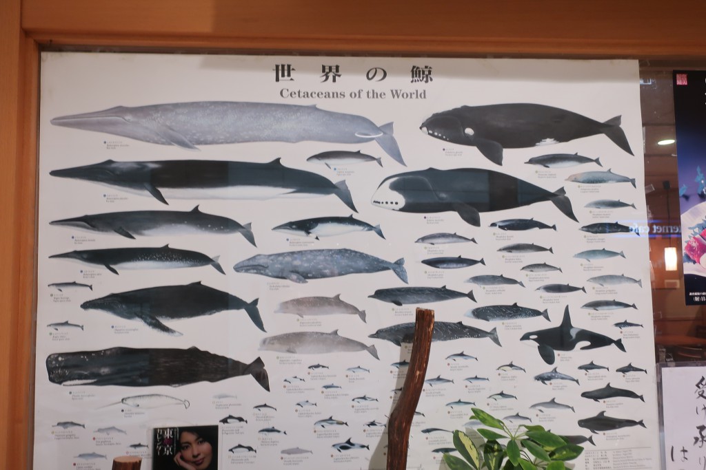 クジラカレー　鯨カレー　はつもみち”　インドカレー
